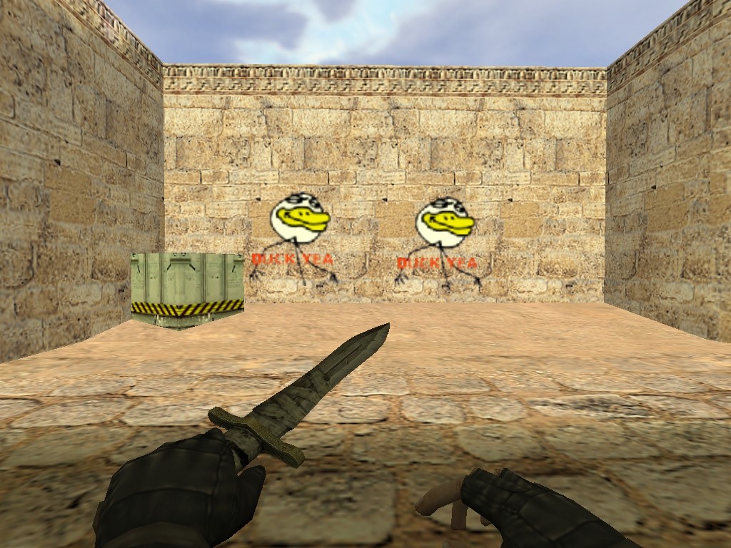 Что такое duck cs go