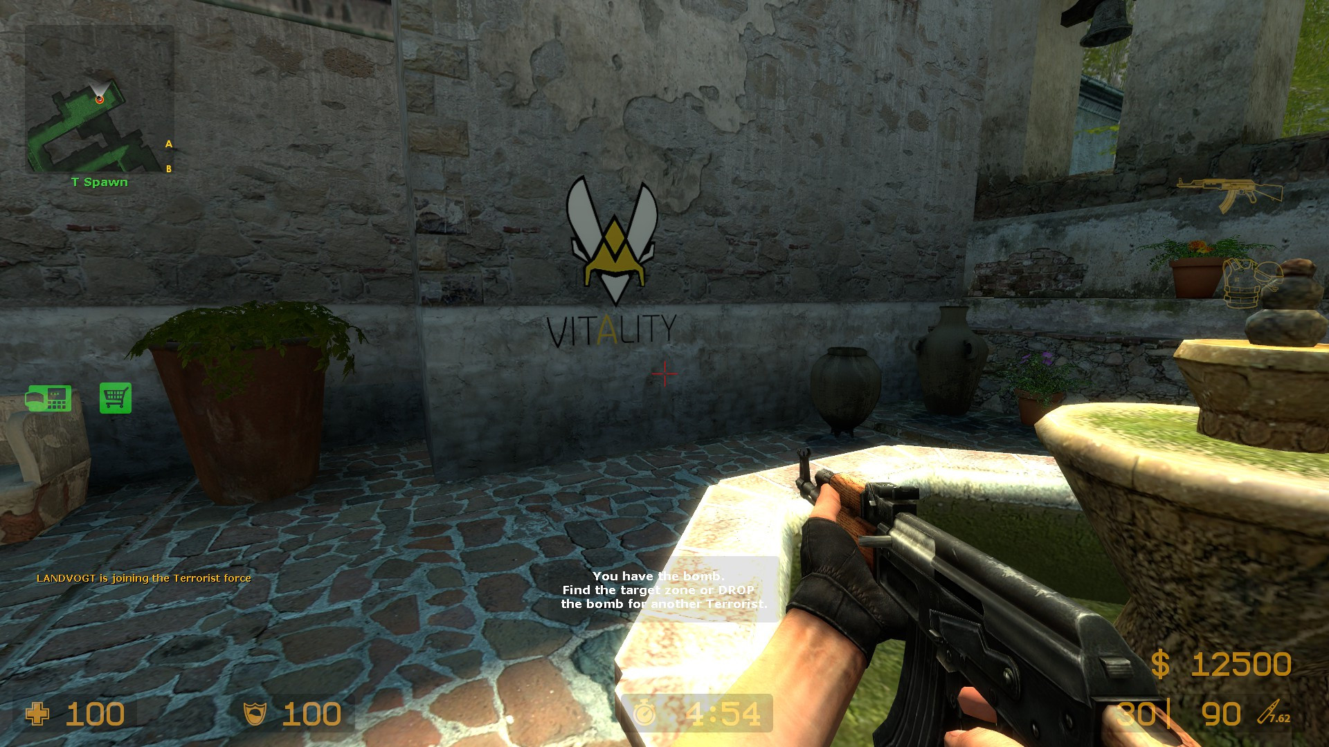 Vitality [CounterStrike Source] [Sprays]