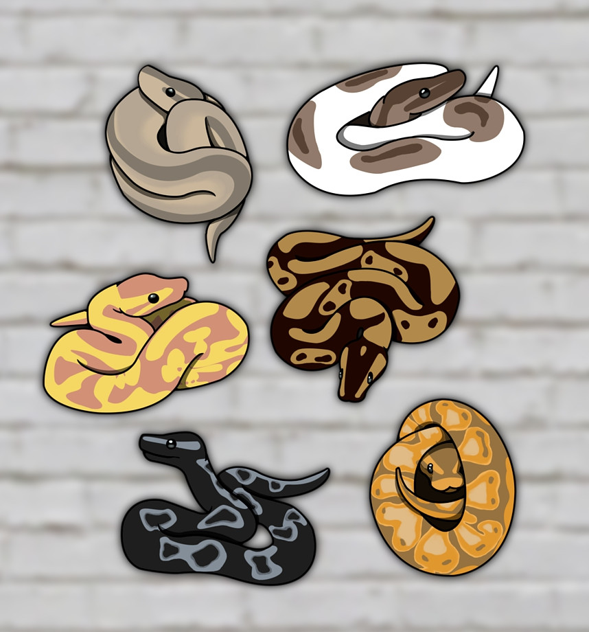 Ball Python Drawings [Counter-Strike: Source] [Sprays]